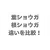 葉ショウガと根ショウガの違いを比較！どっちがいいか使い分けを解説